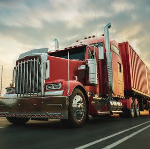 Meet your Posher, Amie